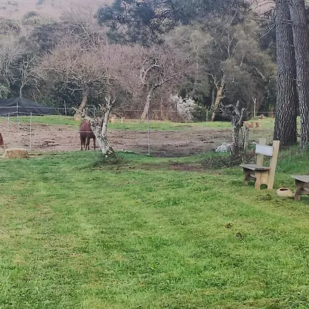 Paradiso, Turismo Rurale Темпио-Паузания