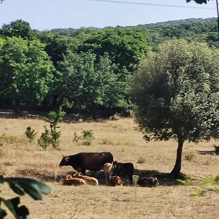 Paradiso, Turismo Rurale Konukevi 4*