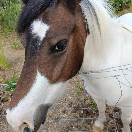Paradiso, Turismo Rurale Maison d'hôtes Tempio Pausania
