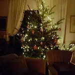 Paradiso, Turismo Rurale Affittacamere 4*