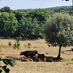Paradiso, Turismo Rurale بيت ضيافة 4*