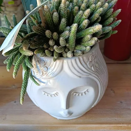 Paradiso, Turismo Rurale Gæstehus Tempio Pausania