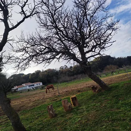 Penzion Paradiso, Turismo Rurale
