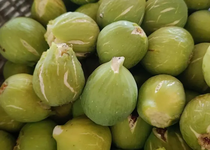 Paradiso, Turismo Rurale 4* Tempio Pausania