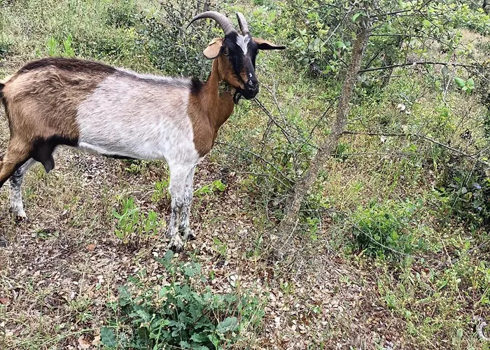 Pensión Paradiso, Turismo Rurale 4*