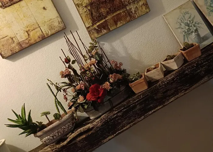 Pensión Paradiso, Turismo Rurale Tempio Pausania