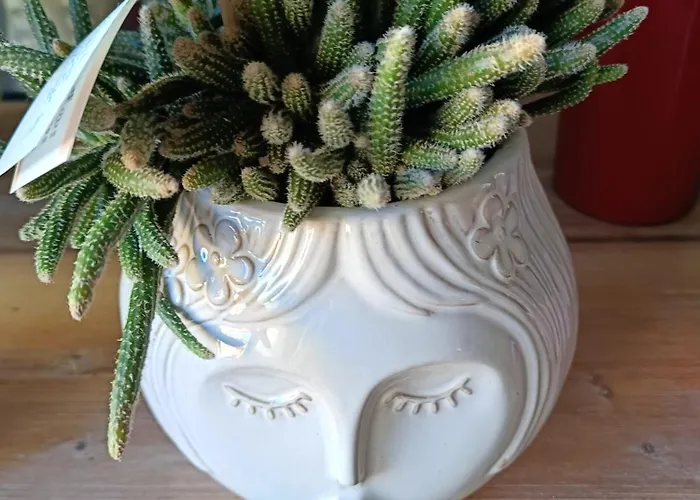 Paradiso, Turismo Rurale Pensión Tempio Pausania