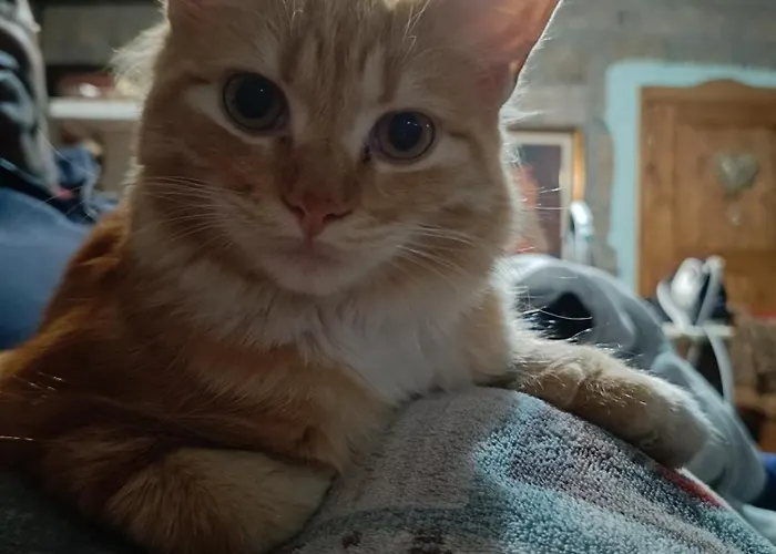 Paradiso, Turismo Rurale 4* Tempio Pausania