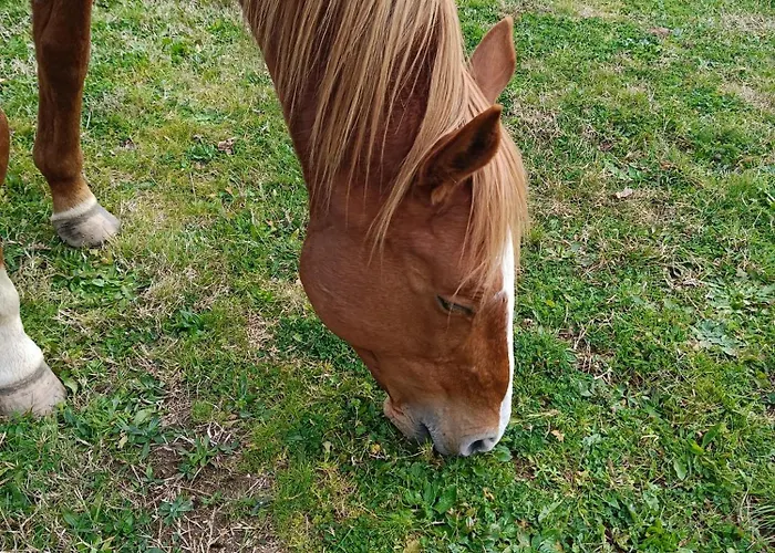 Paradiso, Turismo Rurale