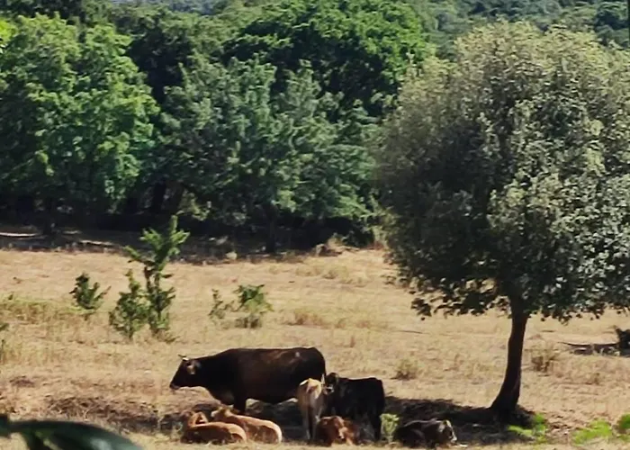 Paradiso, Turismo Rurale Pensión 4*