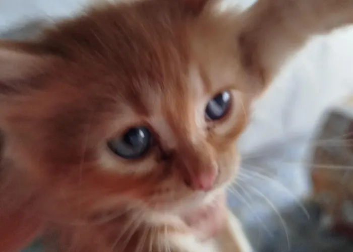 Paradiso, Turismo Rurale Pensión 4*